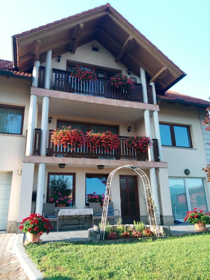Dolenjska Vila Zuzemberk Exterior foto